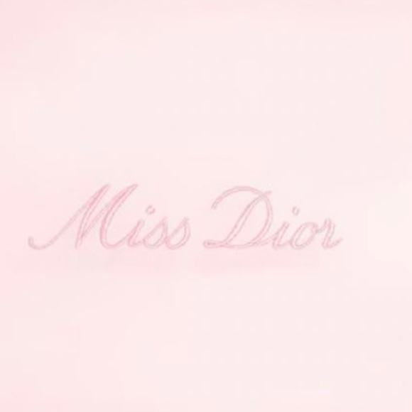 DIOR Bag Pink Miss Dior Large Mesh Pouch NEW with BOX - Picture 3 of 5